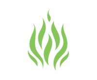 SP.ICN3-Ori.FatBurning