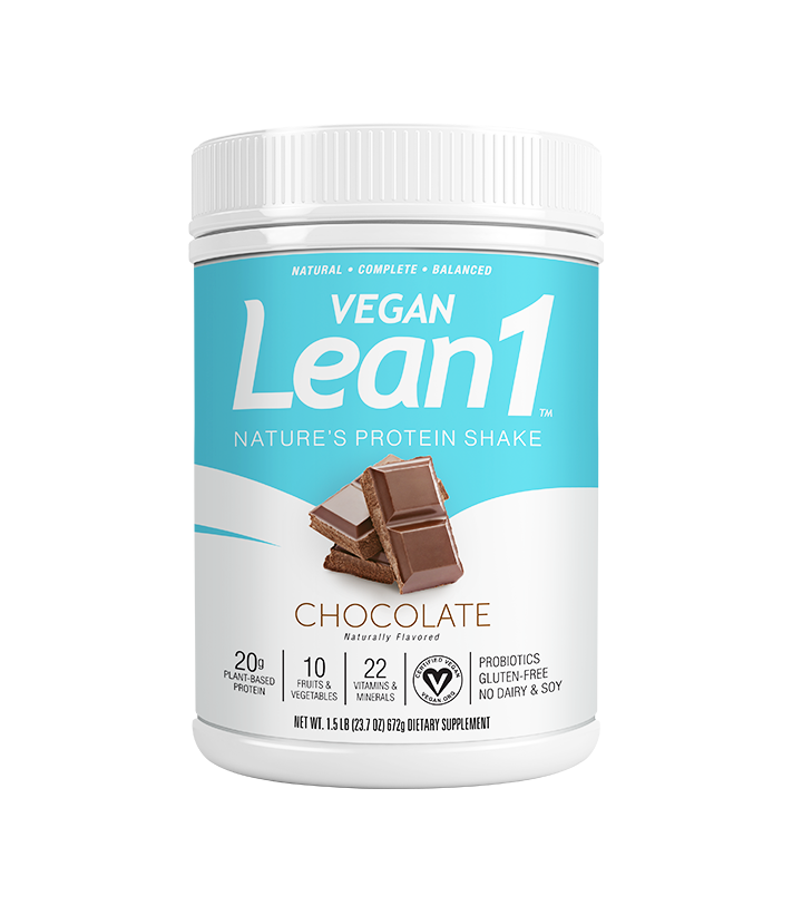 One Sol Lean Plant Protein Powder Horchata, Low Carb, Gluten Free,  Lactose-Free, No Sugar Added, Soy Free, Non-GMO, 100% Plant-Based & Vegan  Friendly